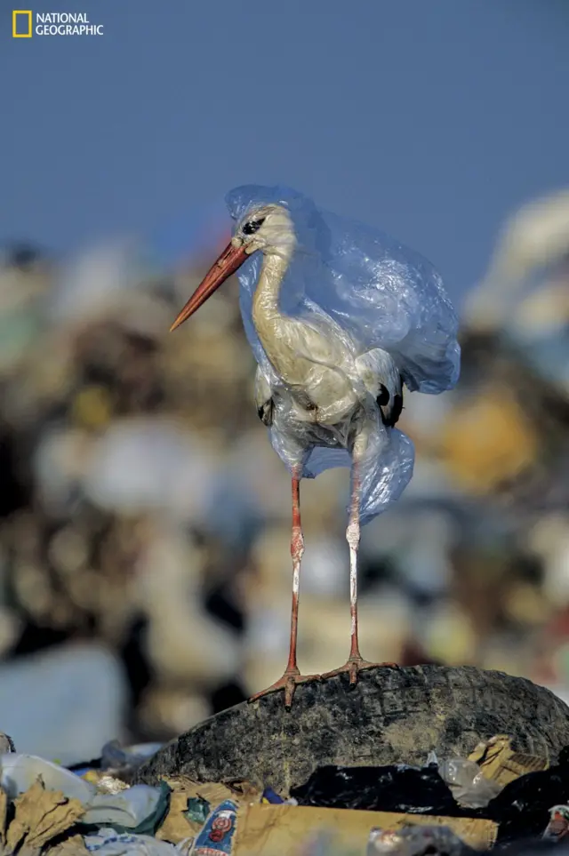 101680273 Ngm 0618 Plastics 008.Jpg