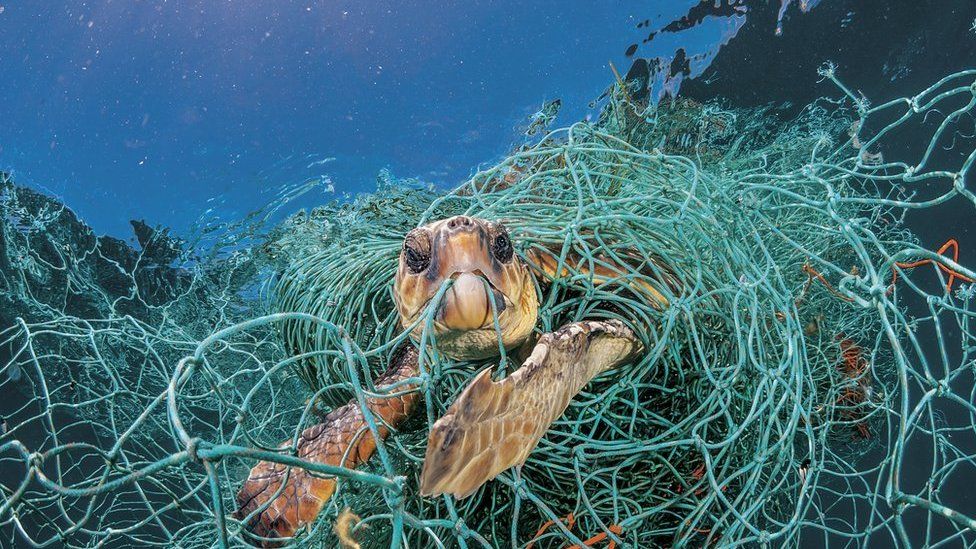 101749034 Ngm 0618 Plastics 007