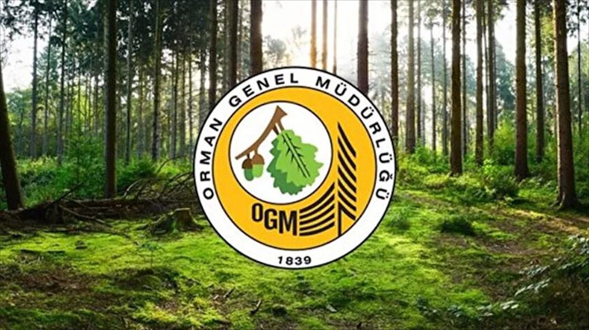 Orman Genel Müdürlüğü 12 müfettiş yardımcısı istihdam ediyor!