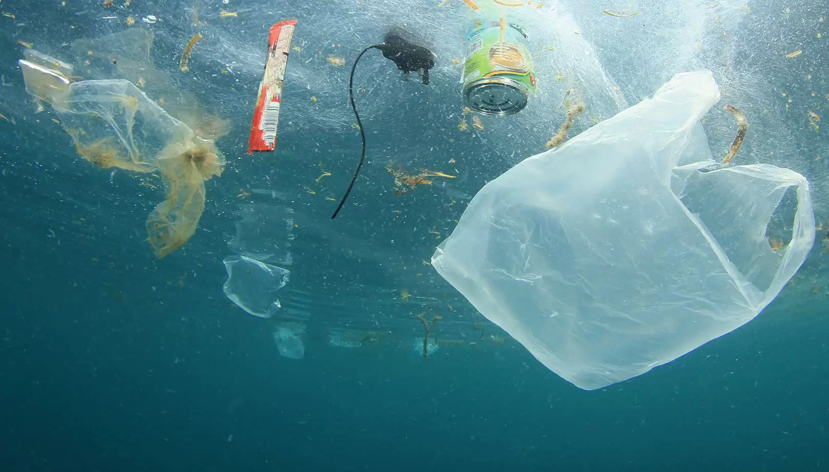 Denizlerde Plastik Kirliligi Nasil Onlenir