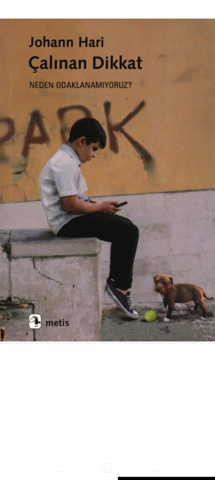 Whatsapp Image 2026 10 20 At 11.05.48
